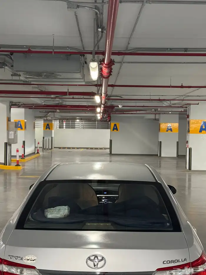 كوريلا 2015 21