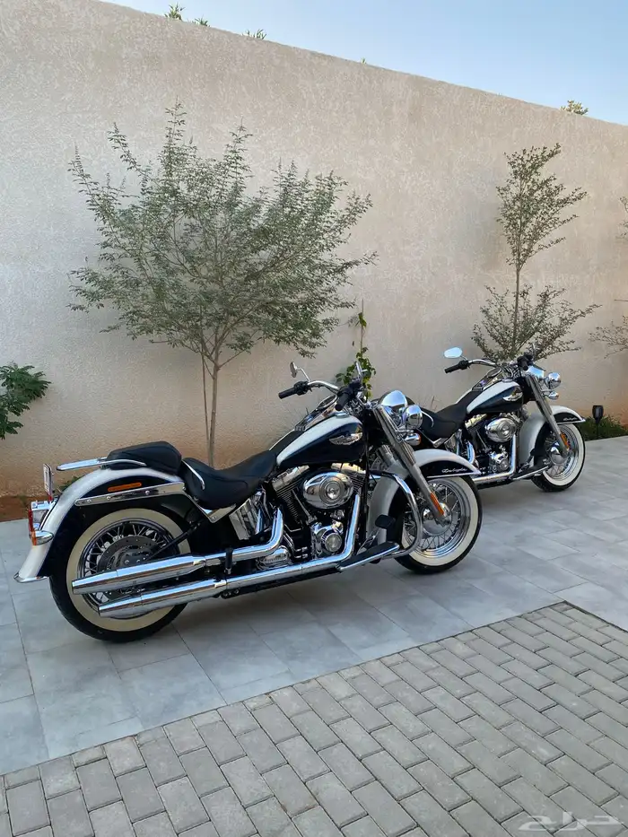 للبيع هارلي سوفتيل ديلكوس 2012 18