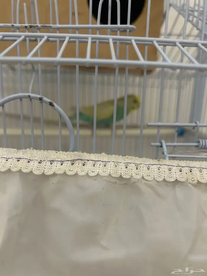 سونيات واغراض اخرى 32