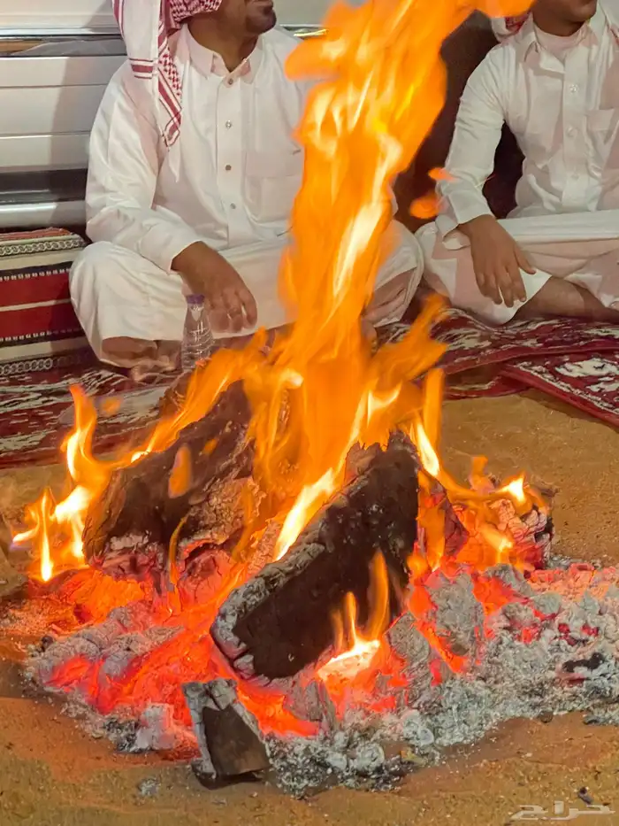 حطب قرض مستورد 10 كيلو 2