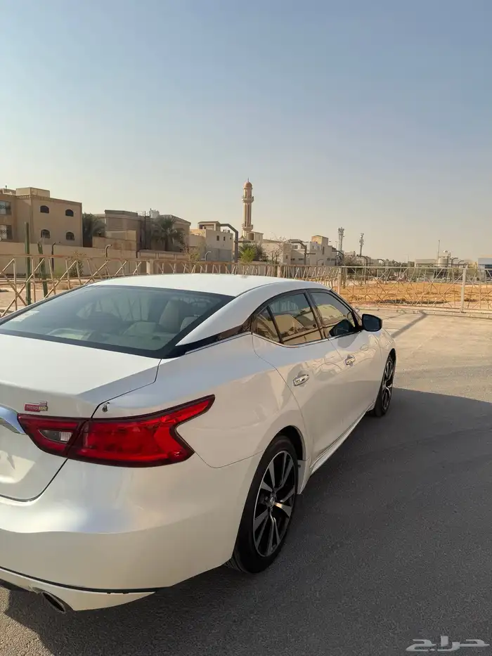 مكسيما للبيع 2018 2