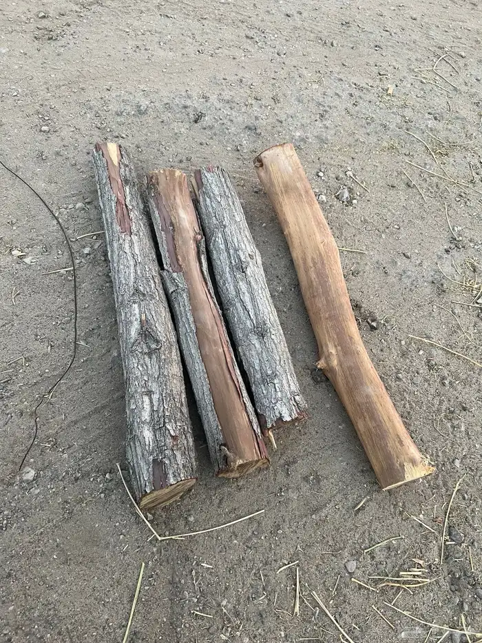 حطب يابس الموقع الاحساء درجه أولى 0