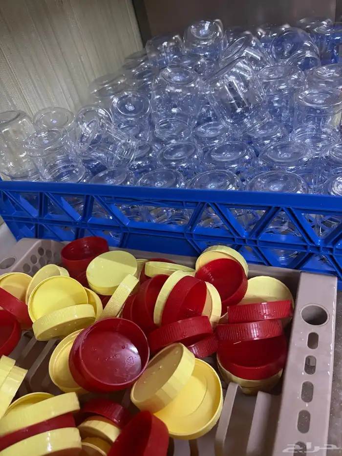 سمن غنم ضان طبيعي على الضمان الذهبي ل استرجاع فلوسك 1