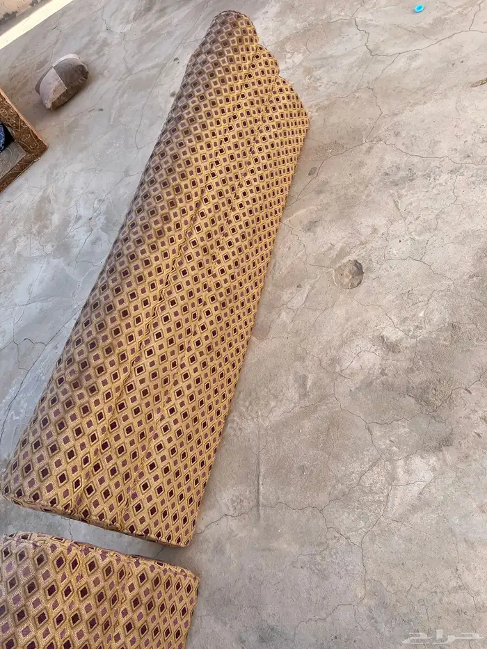 سلام عليكم اعرض لكم كنبات مستعلمه 6