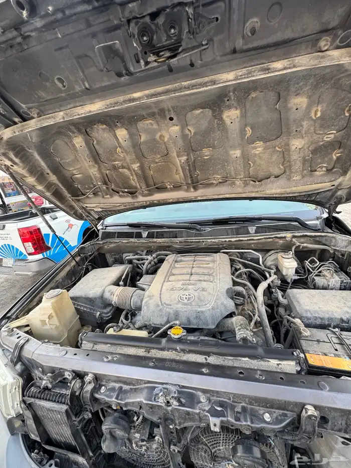 للبيع سكويا. 2015 13