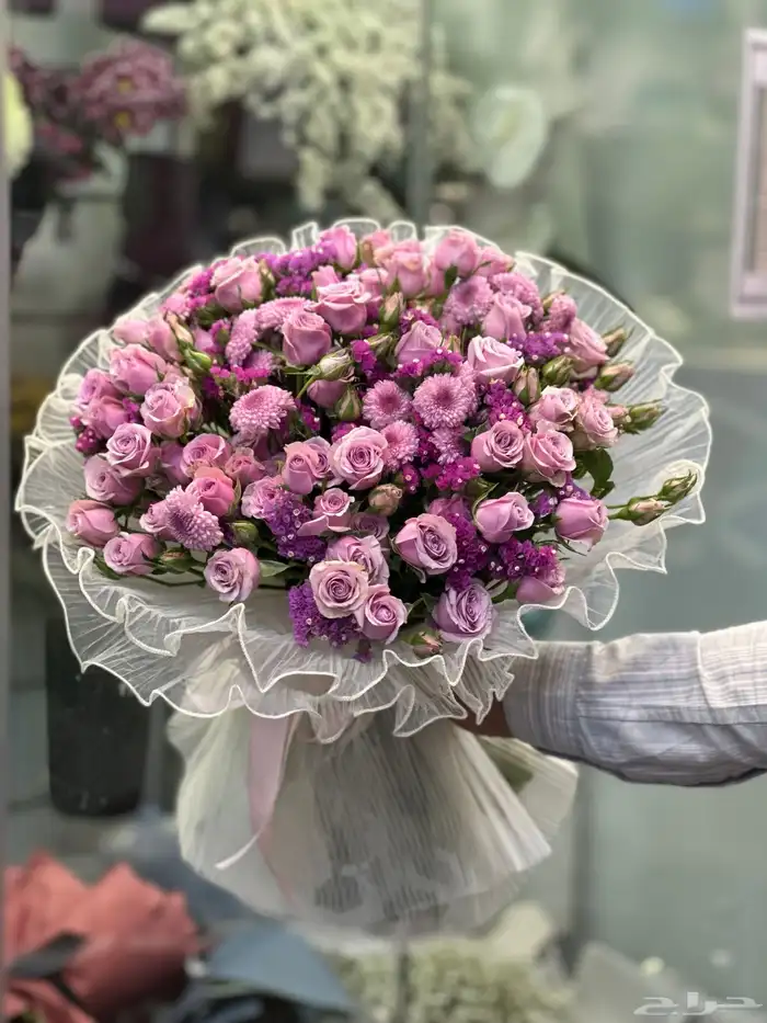 معلم ورد يبحث عن فرصة عمل 16