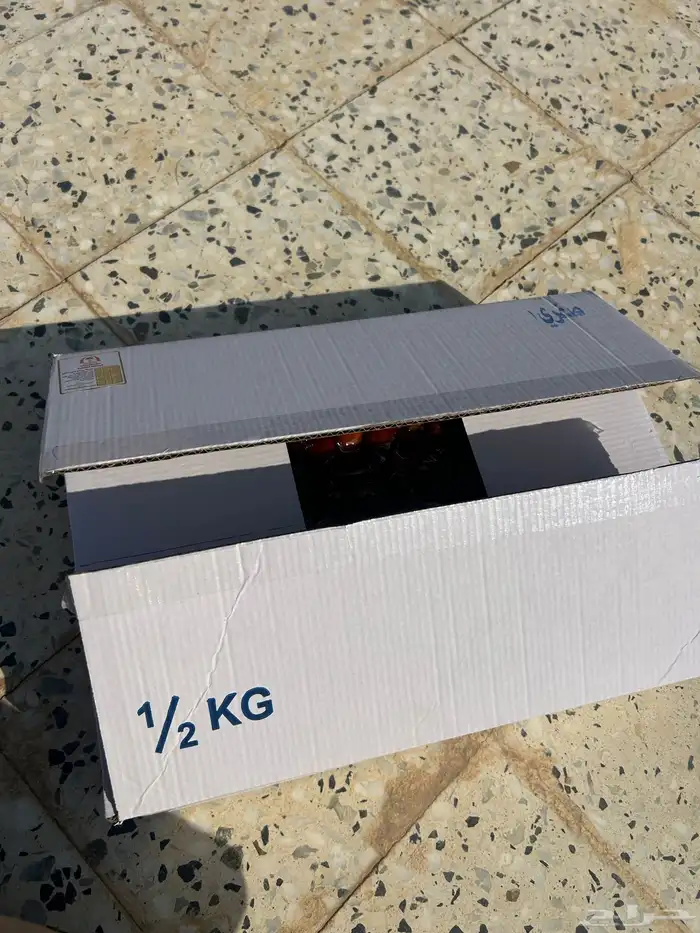 تمر صفري بيشه 4