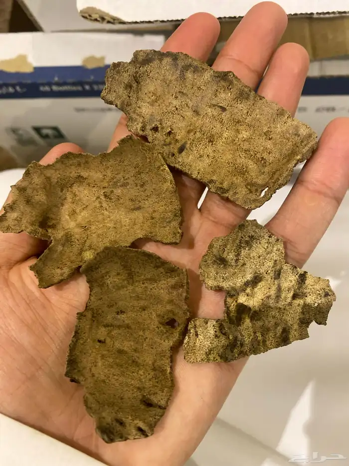 تشار فيتنامي فاخر جدا 1