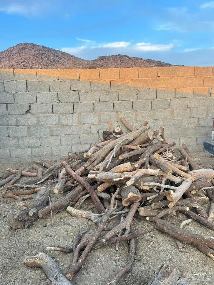 حملة صندوق شاص حطب سمر افريقي مستورد 5