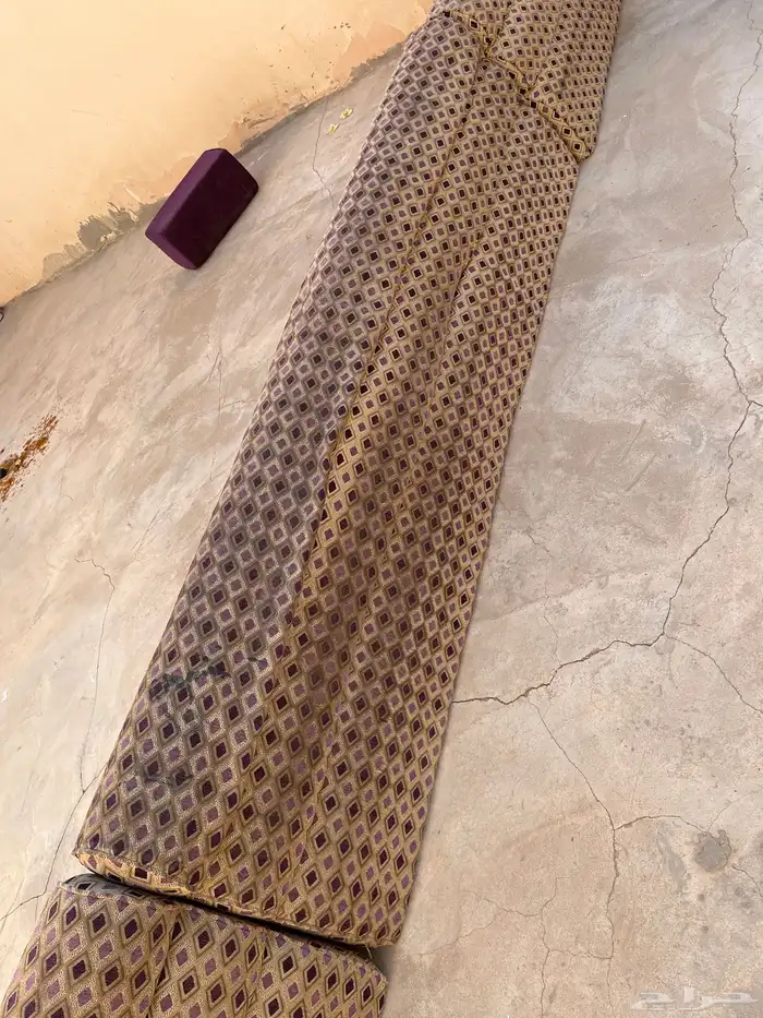 سلام عليكم اعرض لكم كنبات مستعلمه 4