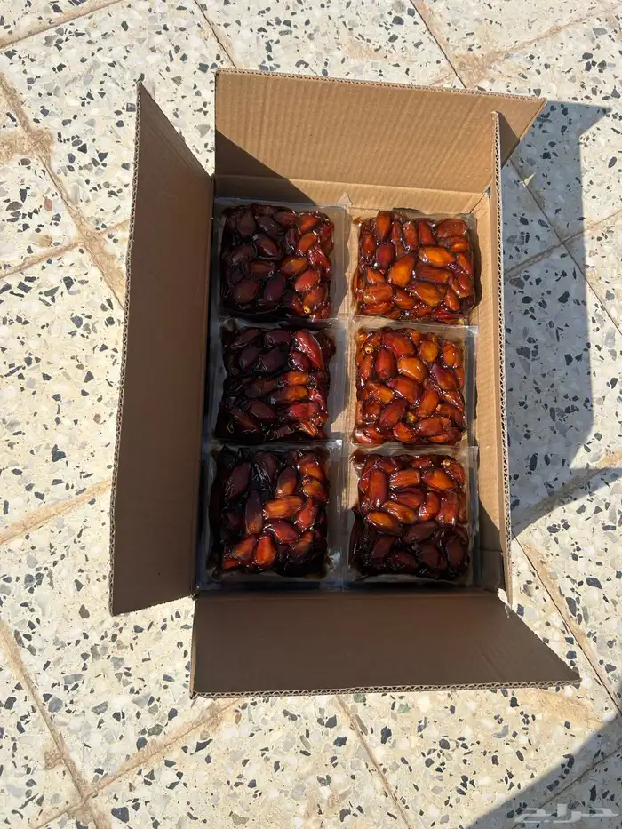 تمر صفري بيشه 5