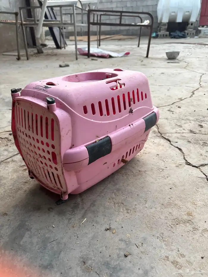 صندوق قطط لبيع 1