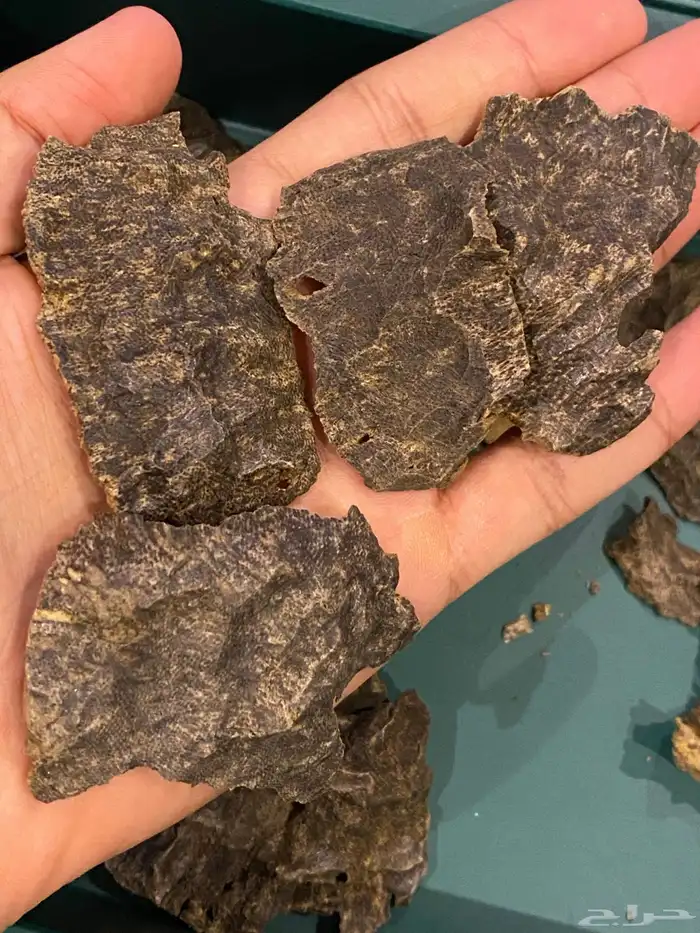 تشار فيتنامي فاخر جدا 0