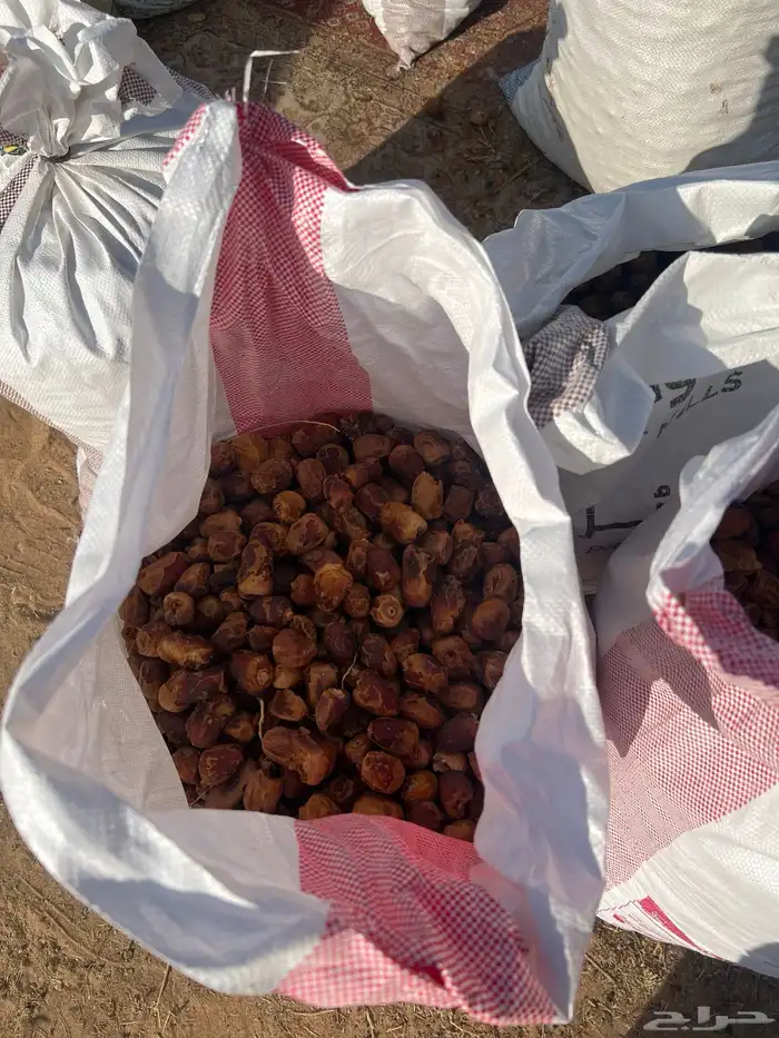 تمر سكري اعلاف 0