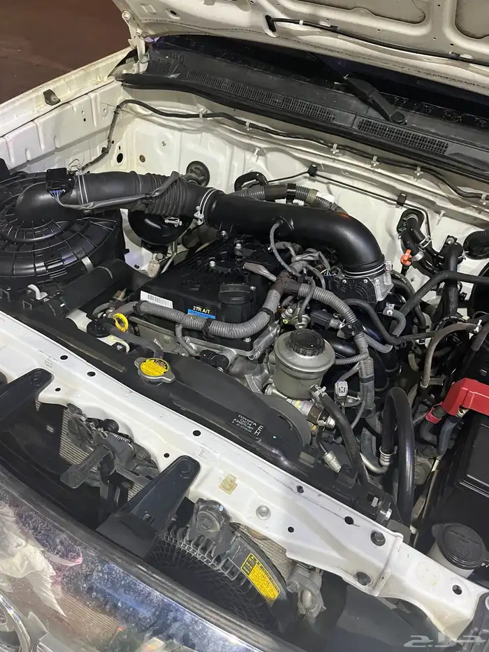 فورشينر 2014 2