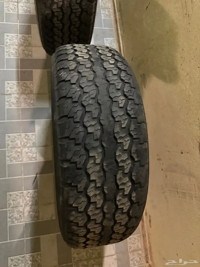 دنلوب 16 تاريخ نهايه 2024 جدد 4