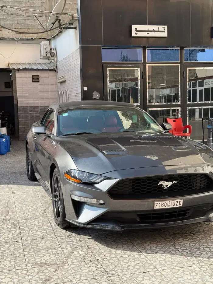 موستنج 2018 كشف 24