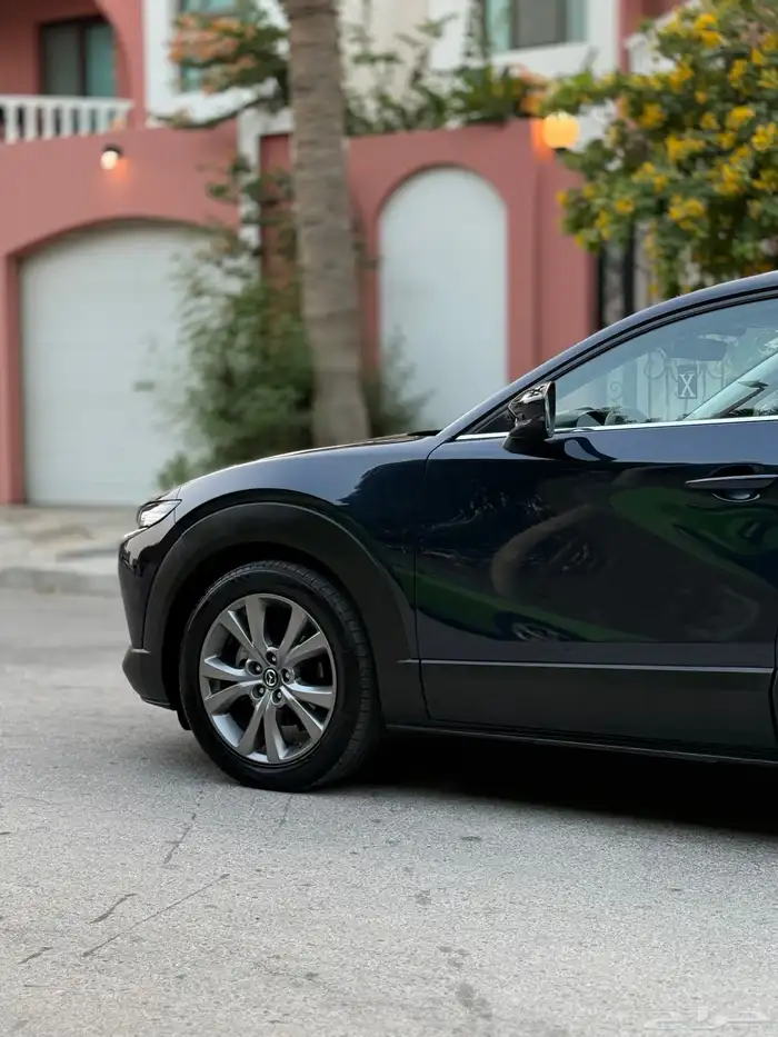 Mazda CX-30 2021 11