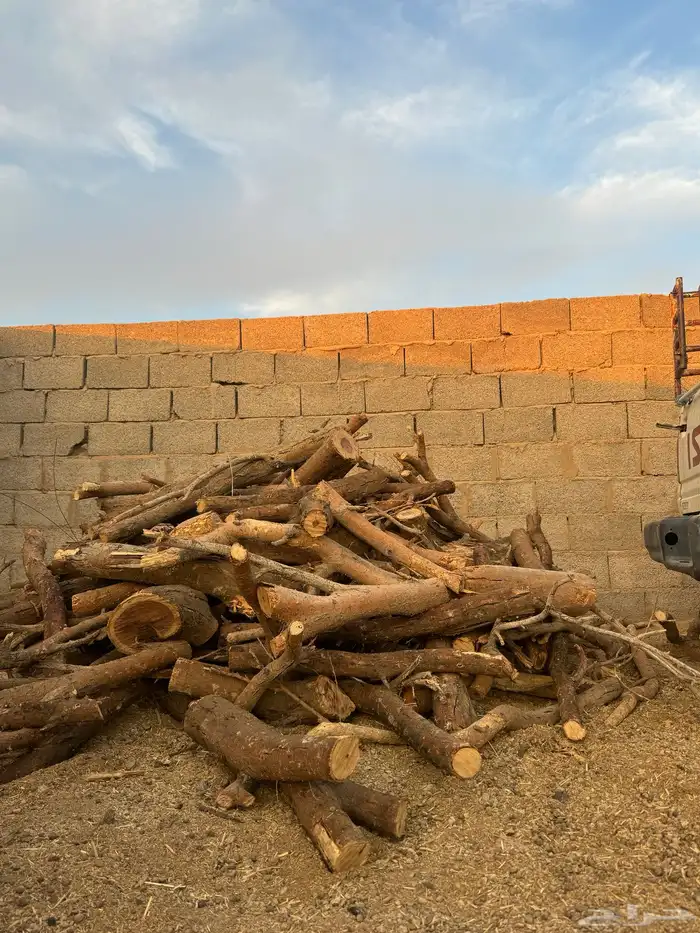 حملة صندوق شاص حطب سمر افريقي مستورد 6