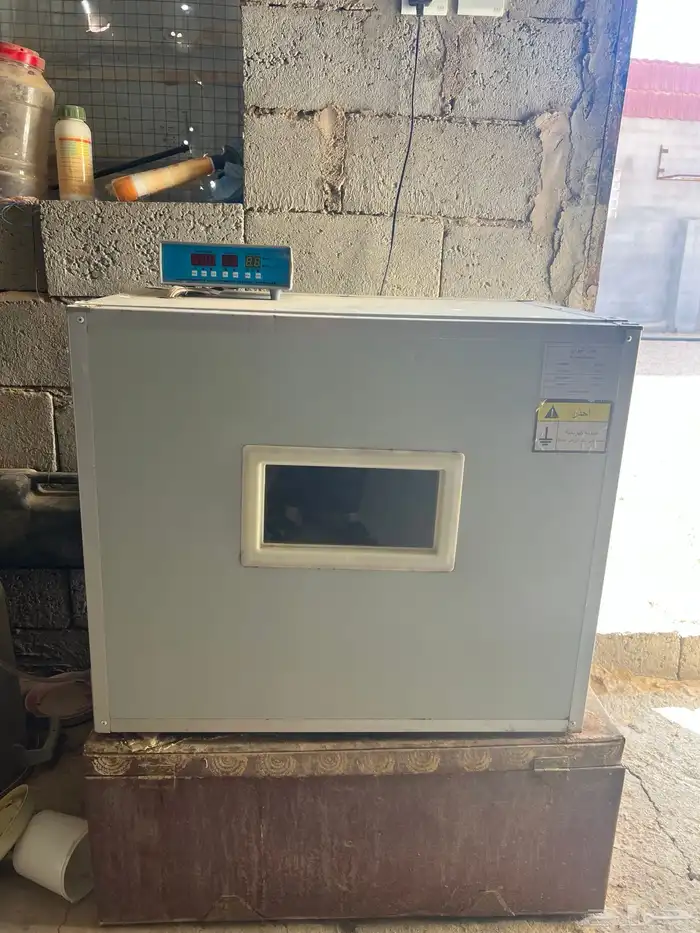 اعرض لكم نوعيني من الفقاسات 3