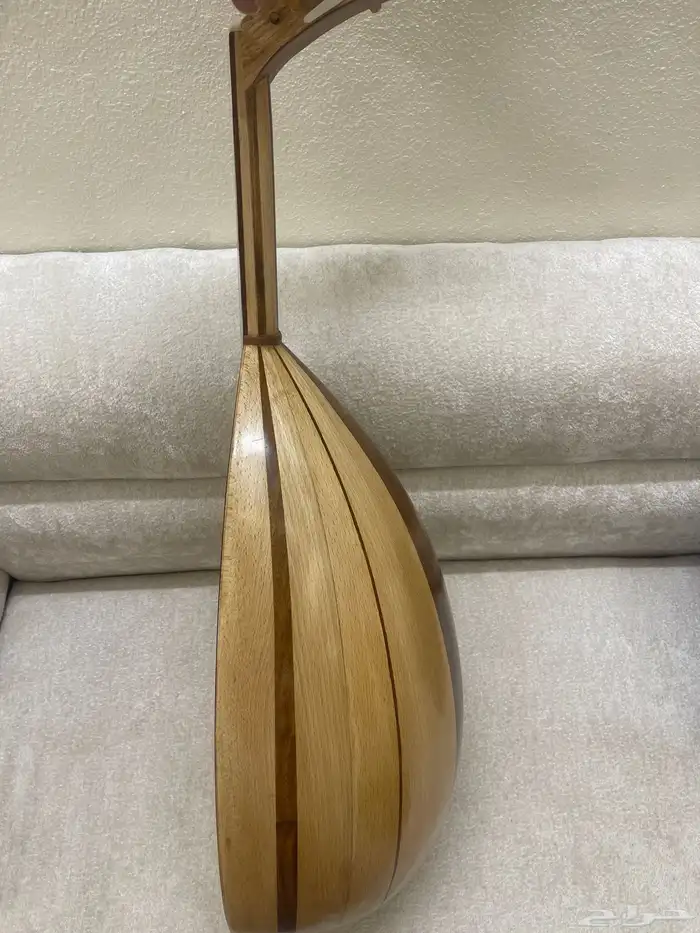عود مصري 4