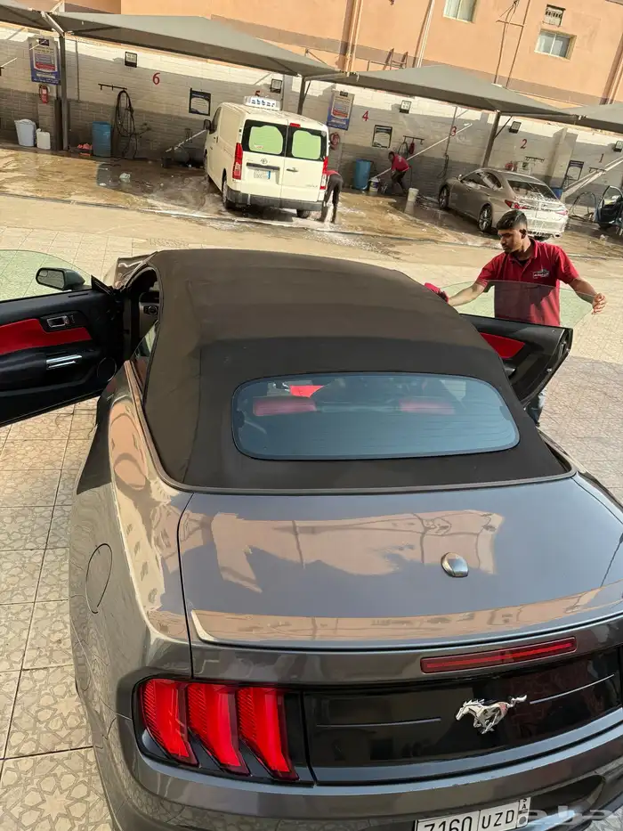 موستنج 2018 كشف 3