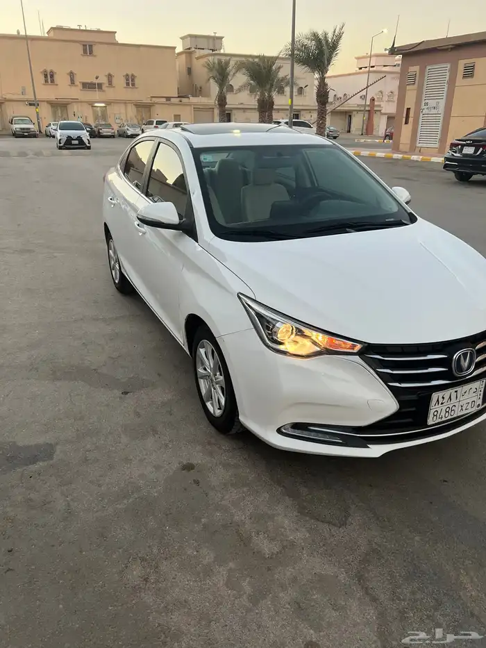 شنجان السفن 2021 فل كامل 9