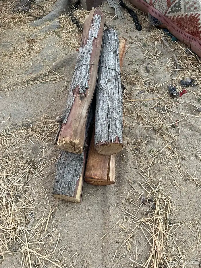 حطب يابس الموقع الاحساء درجه أولى 1