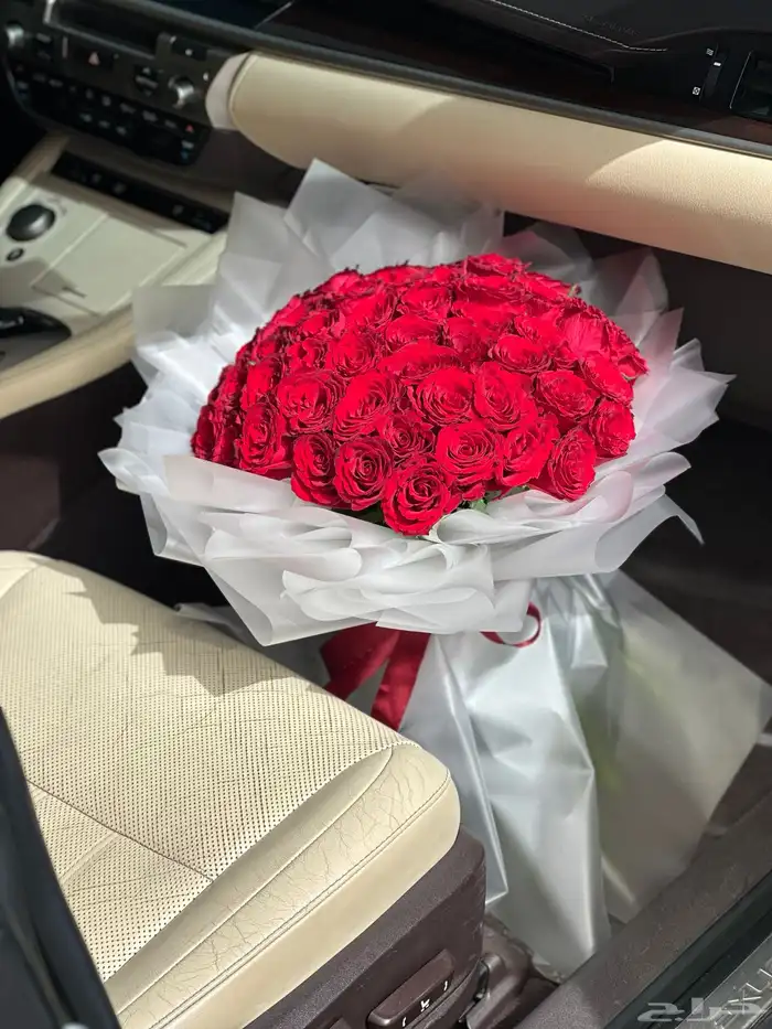 معلم ورد يبحث عن فرصة عمل 14