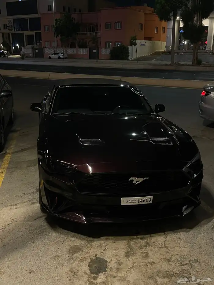 فورد موستينج ايكوبوست 2018 1