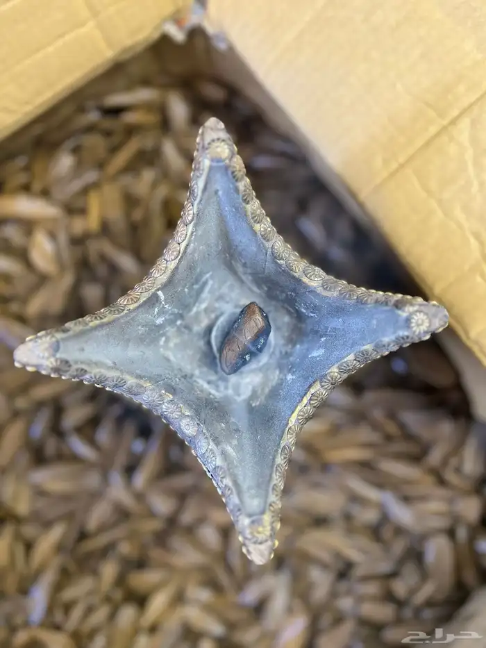 عود مروكي للمناسبات 1