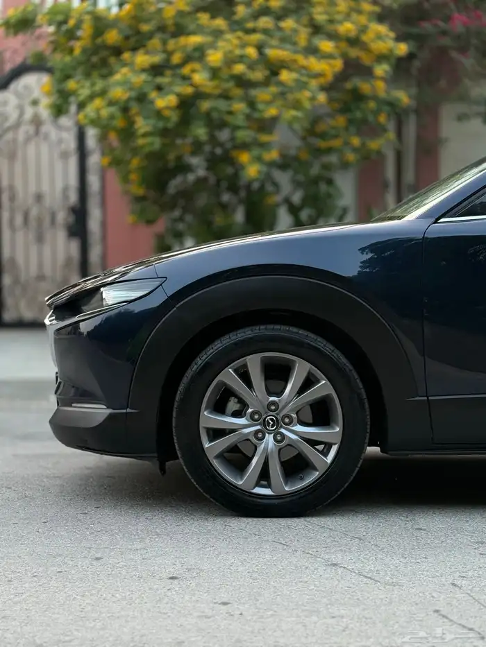 Mazda CX-30 2021 9