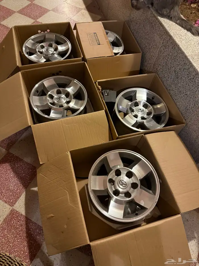 جنوط اف جي الوكالة 0