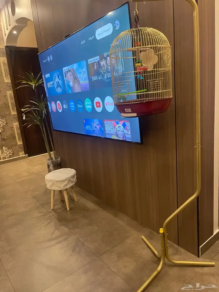 كروان ذكر أليف هدد 5