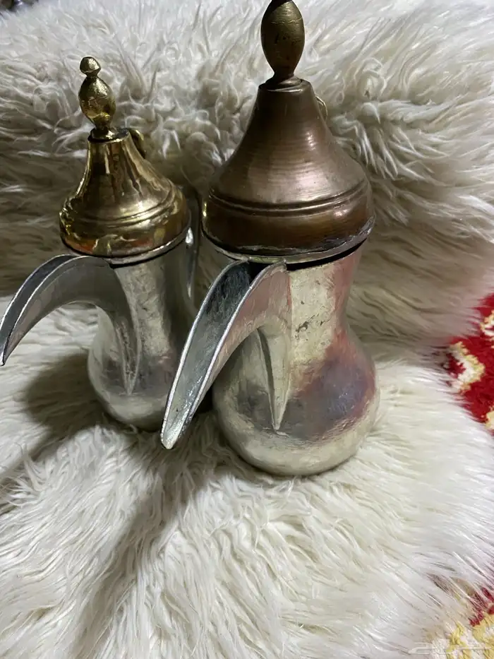 دله سيد صالح ودله بدون ختم قصه وحده عرقيه اصل 10