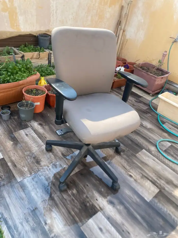 كرسي ماركه هيرمان Herman 0