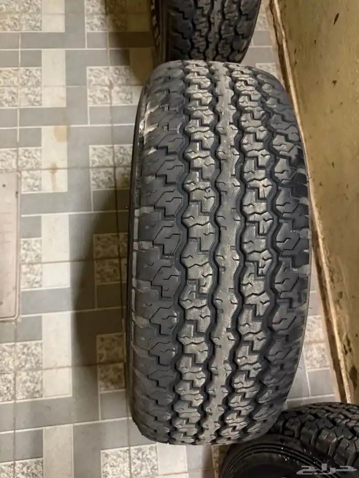 دنلوب 16 تاريخ نهايه 2024 جدد 3