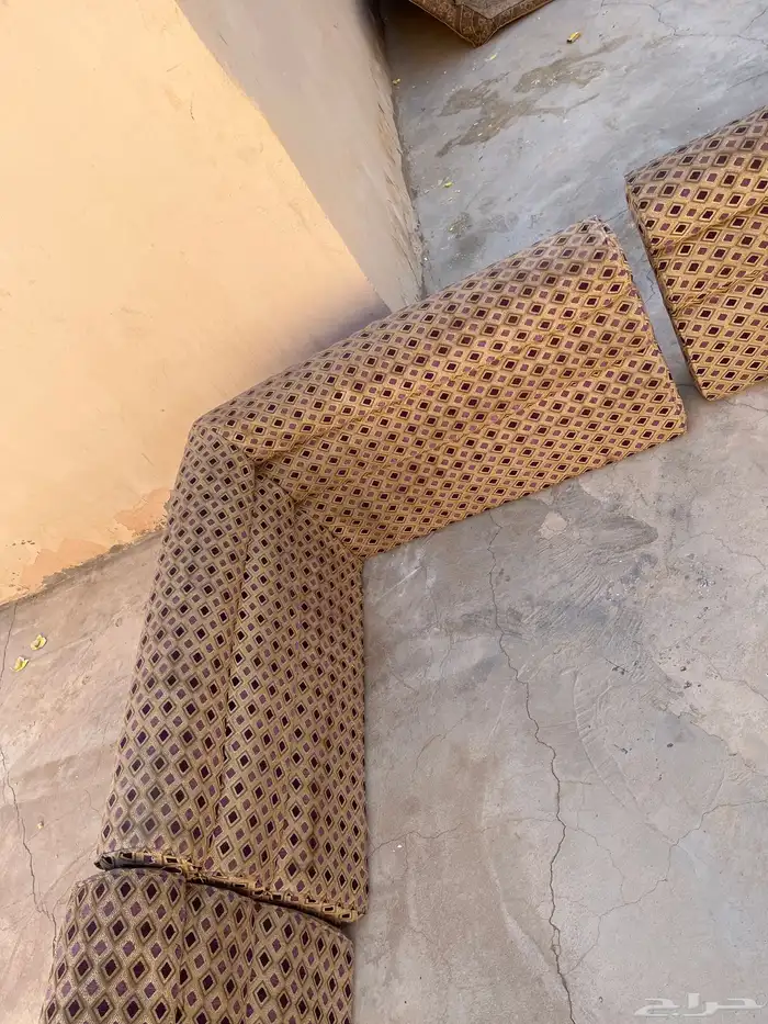 سلام عليكم اعرض لكم كنبات مستعلمه 5