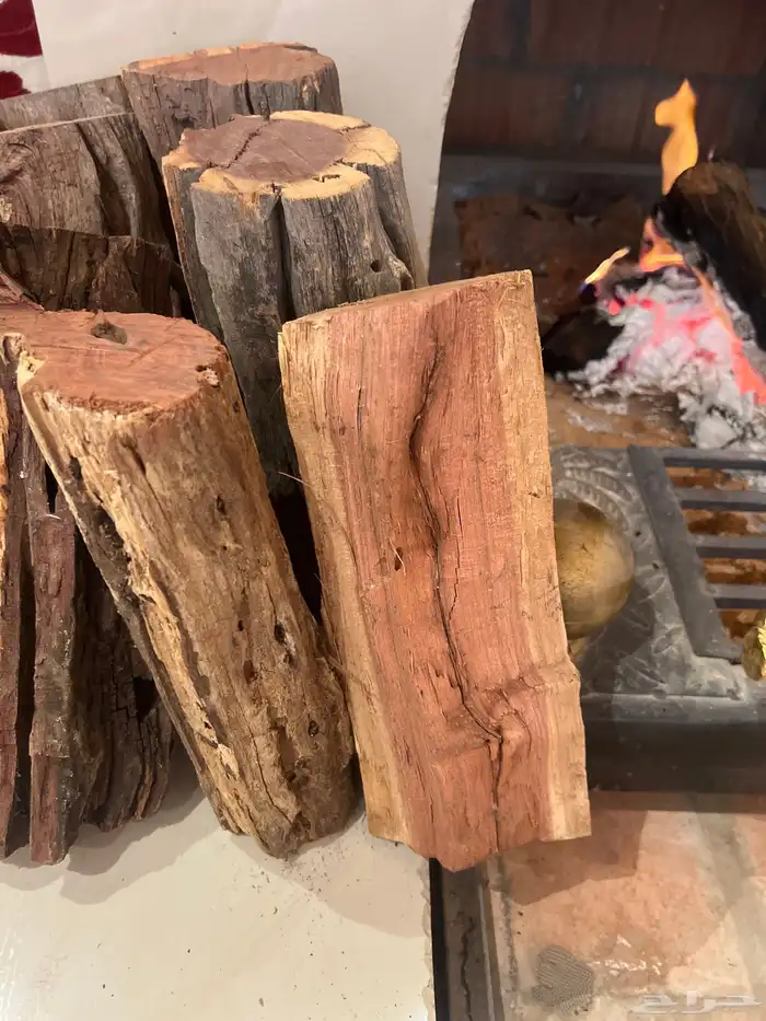 حطب الزيتون 0