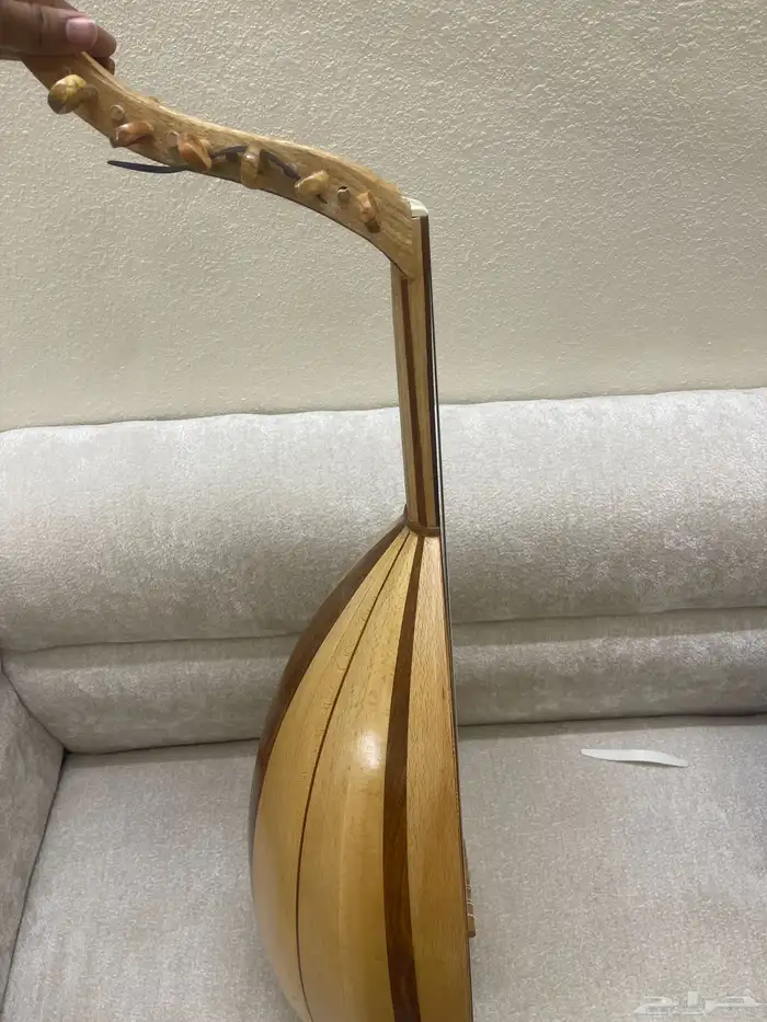 عود مصري 6