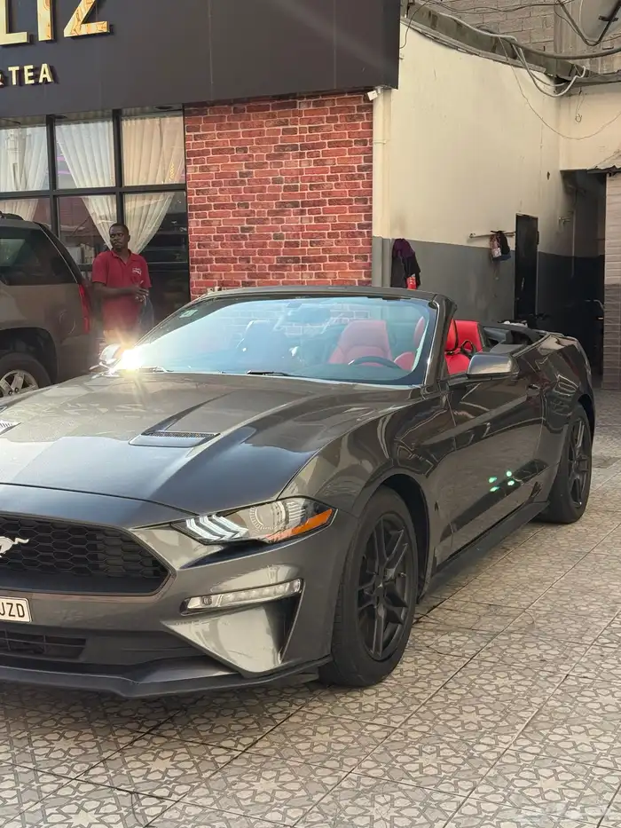 موستنج 2018 كشف 7