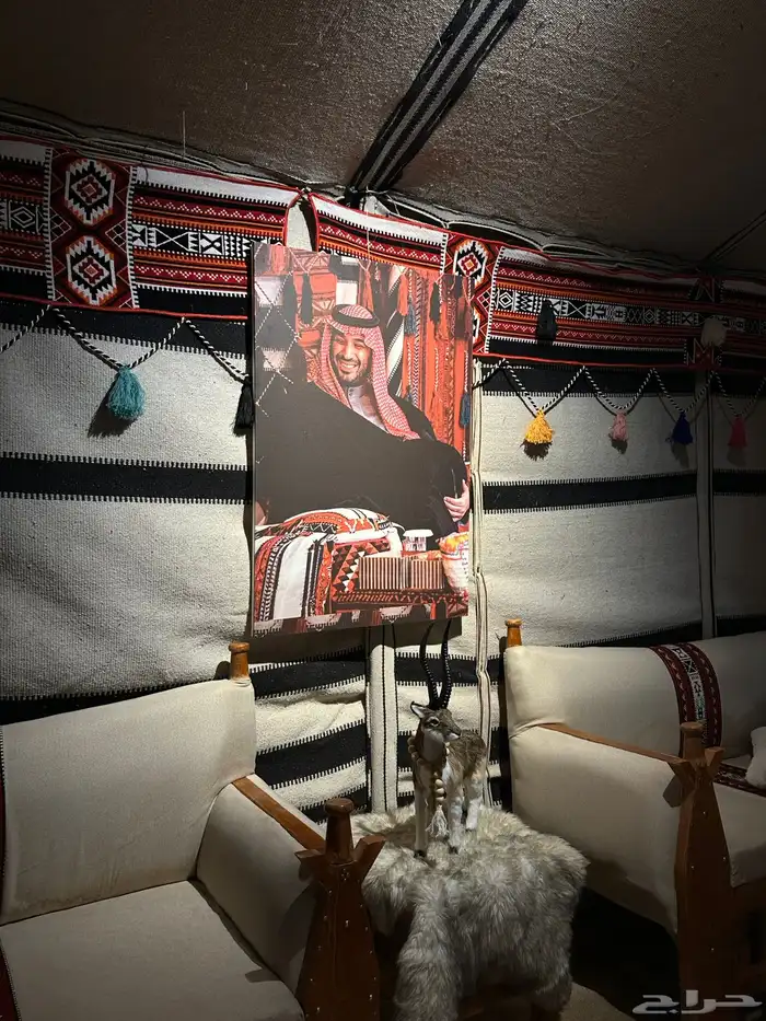 مخيم المملكة ايجار 8