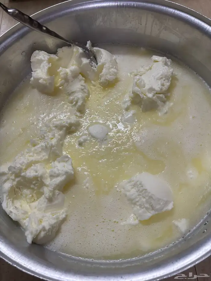 سمن غنم ضان طبيعي على الضمان الذهبي ل استرجاع فلوسك 3