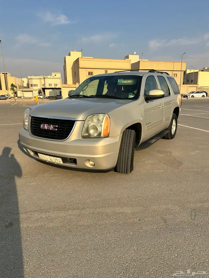 يوكن قصير ذهبي السوم 26 11