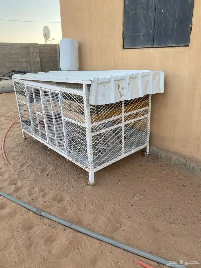 شبك بقلاوه تفصال طيب 2