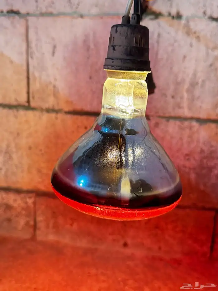 لمبات حراره دفايه 3