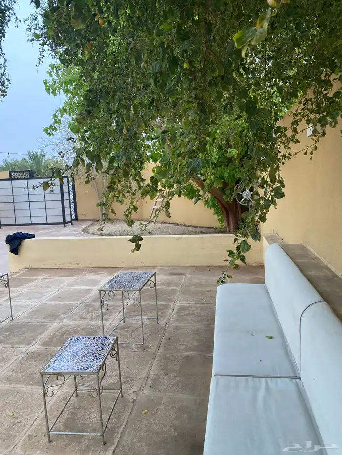 استراحة لكبار الموظفين (ايجار سنوي فقط) 13