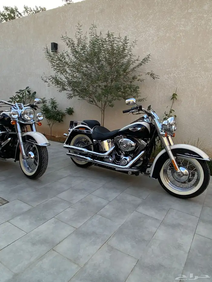للبيع هارلي سوفتيل ديلكوس 2012 20