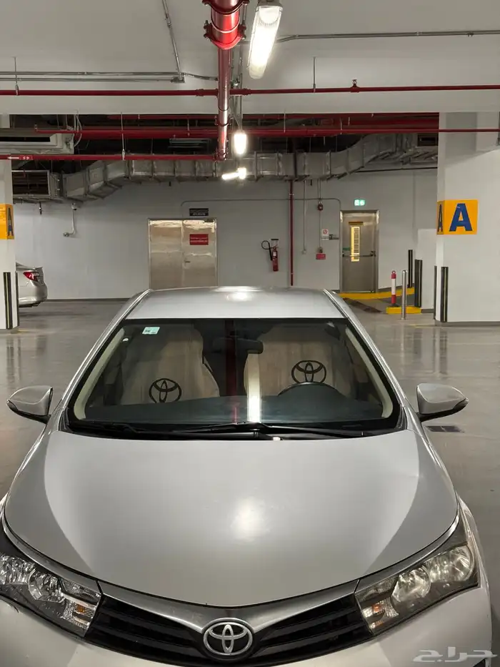 كوريلا 2015 22