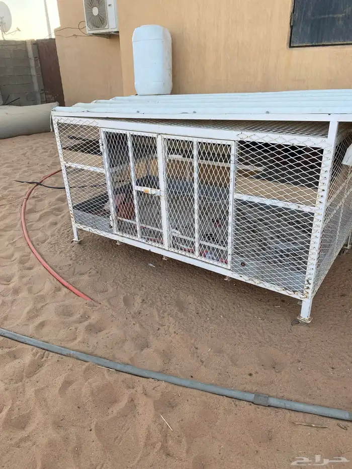 شبك بقلاوه تفصال طيب 0